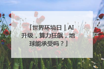 世界环境日｜AI升级，算力狂飙，地球能承受吗？