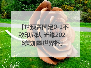 世预赛国足0-1不敌印尼队 无缘2026美加墨世界杯