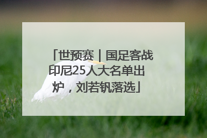 世预赛｜国足客战印尼25人大名单出炉，刘若钒落选