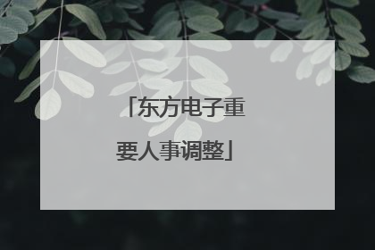 东方电子重要人事调整