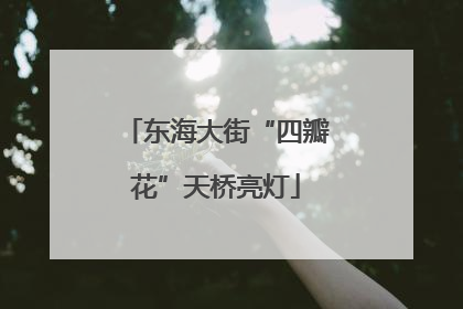 东海大街“四瓣花”天桥亮灯