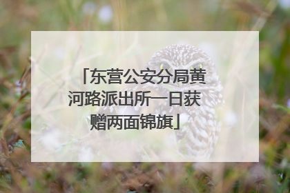 东营公安分局黄河路派出所一日获赠两面锦旗