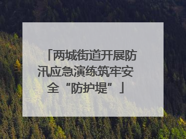 两城街道开展防汛应急演练筑牢安全“防护堤”