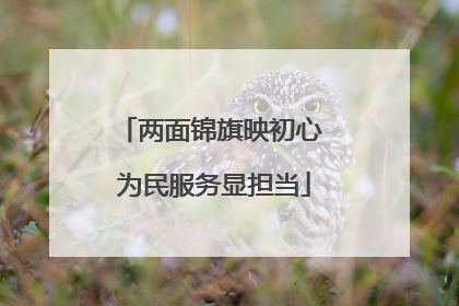 两面锦旗映初心 为民服务显担当