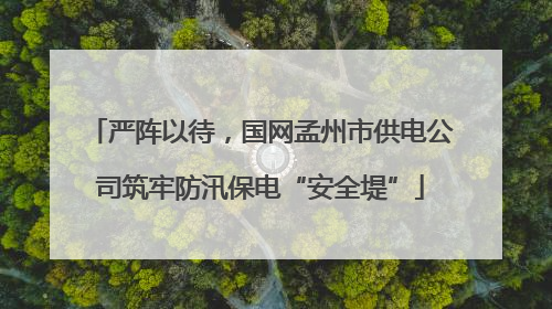 严阵以待，国网孟州市供电公司筑牢防汛保电“安全堤”