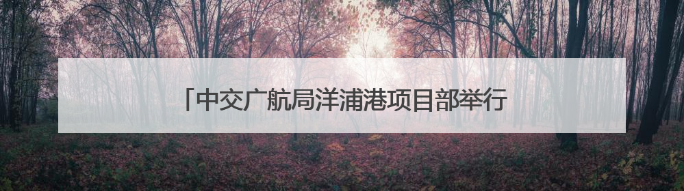 中交广航局洋浦港项目部举行2025年防台综合应急演练