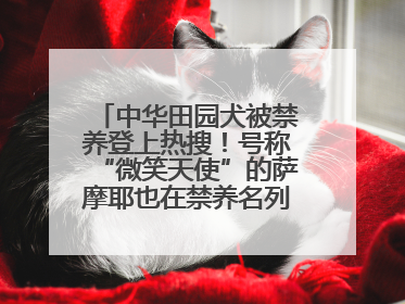 中华田园犬被禁养登上热搜！号称“微笑天使”的萨摩耶也在禁养名列 网友不解西安多部门回应