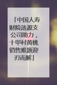 中国人寿财险涟源支公司助力，十甲村黄桃销售难题迎刃而解