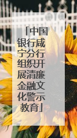 中国银行咸宁分行组织开展清廉金融文化警示教育