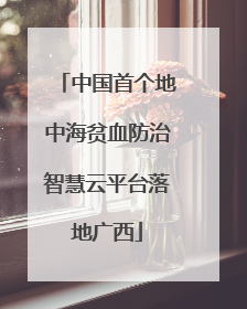 中国首个地中海贫血防治智慧云平台落地广西