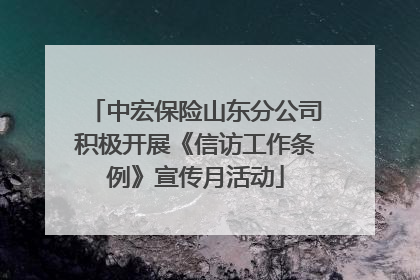 中宏保险山东分公司积极开展《信访工作条例》宣传月活动