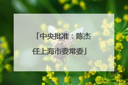 中央批准：陈杰任上海市委常委