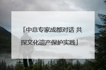 中意专家成都对话 共探文化遗产保护实践