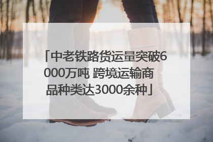 中老铁路货运量突破6000万吨 跨境运输商品种类达3000余种