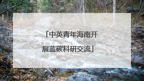 中英青年海南开展蓝碳科研交流