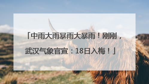中雨大雨暴雨大暴雨！刚刚，武汉气象官宣：18日入梅！