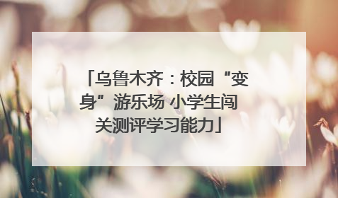 乌鲁木齐：校园“变身”游乐场 小学生闯关测评学习能力