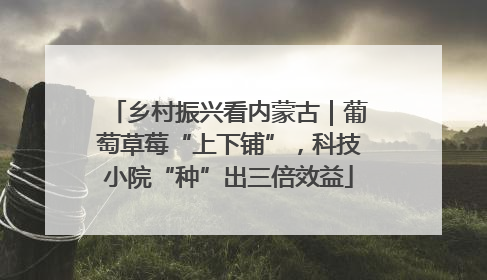 乡村振兴看内蒙古｜葡萄草莓“上下铺”，科技小院“种”出三倍效益