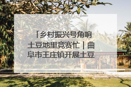 乡村振兴号角响 土豆地里竞赛忙｜曲阜市王庄镇开展土豆收获劳动竞赛