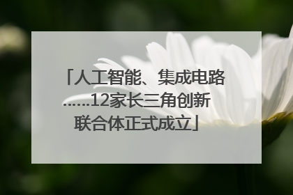 人工智能、集成电路……12家长三角创新联合体正式成立