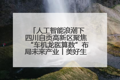 人工智能浪潮下 四川自贡高新区聚焦“车机龙医算数”布局未来产业丨美好生活有“盐”味