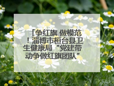 争红旗 做模范！淄博市桓台县卫生健康局“党建带动争做红旗团队”表扬仪式举行