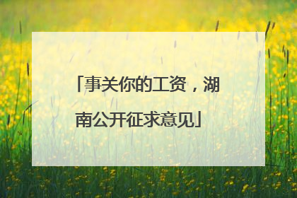 事关你的工资，湖南公开征求意见