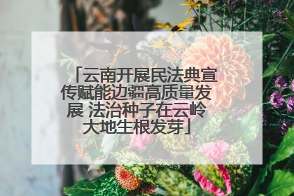 云南开展民法典宣传赋能边疆高质量发展 法治种子在云岭大地生根发芽