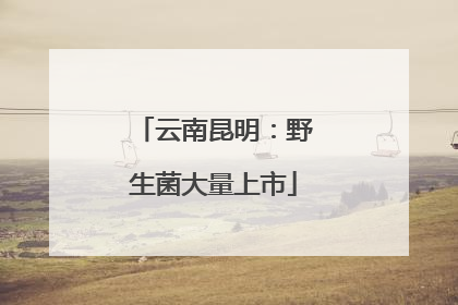 云南昆明：野生菌大量上市