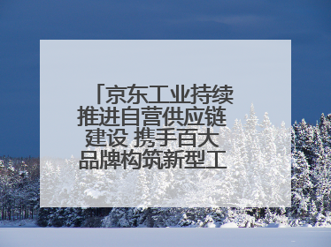 京东工业持续推进自营供应链建设 携手百大品牌构筑新型工业化基础设施