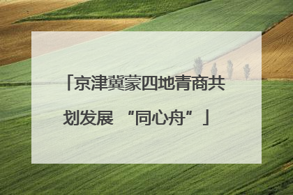 京津冀蒙四地青商共划发展 “同心舟”