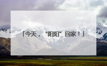 今天，“阳阳”回家！