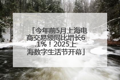 今年前5月上海电商交易额同比增长6.1%！2025上海数字生活节开幕