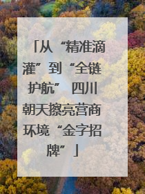 从“精准滴灌”到“全链护航” 四川朝天擦亮营商环境“金字招牌”