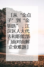 从“金点子”到“金钥匙”，江汉区人大代表和职能部门面对面解企业难题