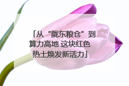 从“陇东粮仓”到算力高地 这块红色热土焕发新活力