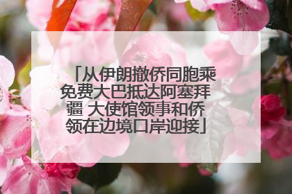 从伊朗撤侨同胞乘免费大巴抵达阿塞拜疆 大使馆领事和侨领在边境口岸迎接