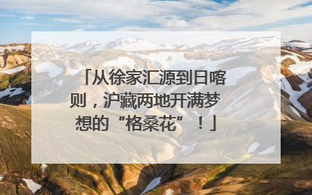 从徐家汇源到日喀则，沪藏两地开满梦想的“格桑花”！