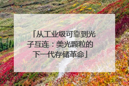 从工业级可靠到光子互连：美光颗粒的下一代存储革命
