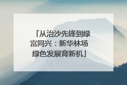 从治沙先锋到绿富同兴：新华林场绿色发展育新机