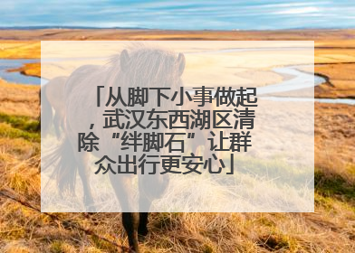 从脚下小事做起，武汉东西湖区清除“绊脚石”让群众出行更安心