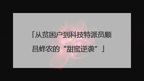 从贫困户到科技特派员顺昌蜂农的“甜蜜逆袭”
