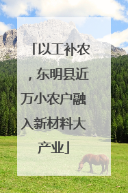 以工补农，东明县近万小农户融入新材料大产业