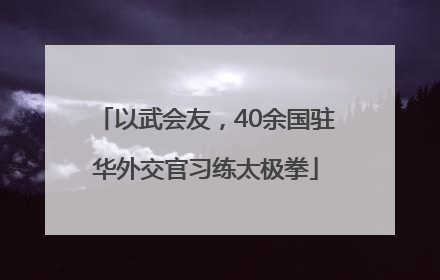 以武会友，40余国驻华外交官习练太极拳