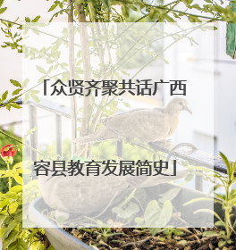 众贤齐聚共话广西容县教育发展简史