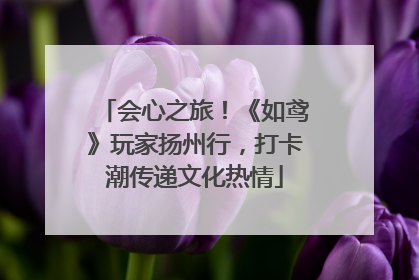 会心之旅！《如鸢》玩家扬州行，打卡潮传递文化热情