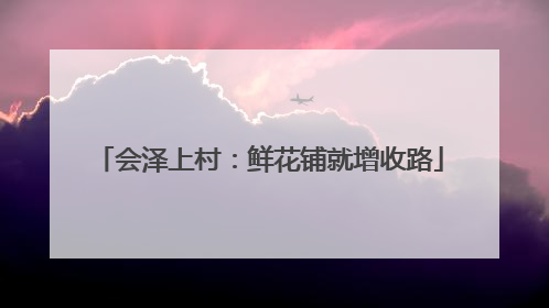 会泽上村：鲜花铺就增收路