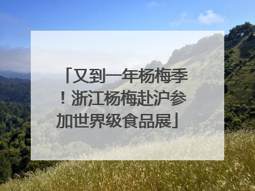 又到一年杨梅季！浙江杨梅赴沪参加世界级食品展