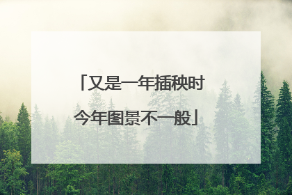 又是一年插秧时 今年图景不一般