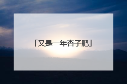 又是一年杏子肥